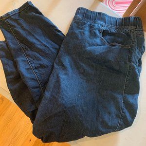 Torrid Plus Size Pull On Jeans 4R